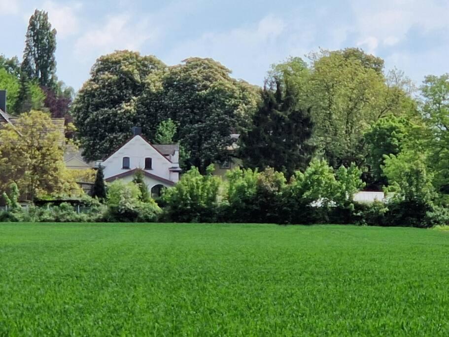 Historische Villa Mit Garten, Luxus ميربش المظهر الخارجي الصورة