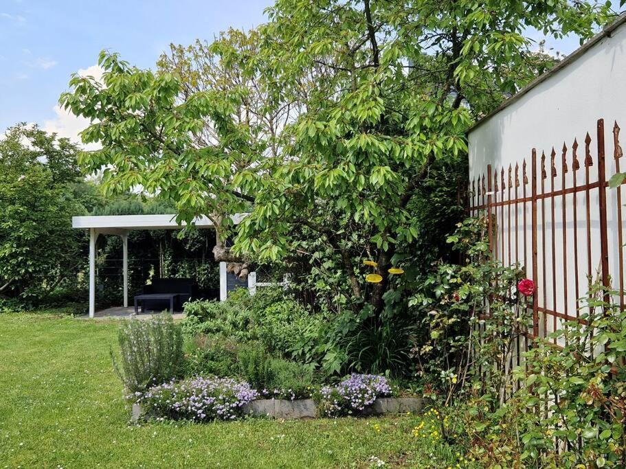 Historische Villa Mit Garten, Luxus ميربش المظهر الخارجي الصورة